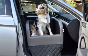 Berlin, Pet Sitting, Hundekorb F&uuml;r Das Auto &ndash; Bequemer Schutz F&uuml;r Unterwegs Sicher