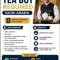 TEA BOY INDIAN VISA READY