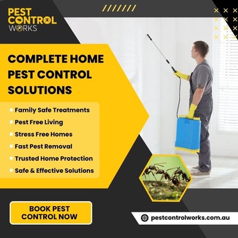 Melbourne, Cleaning, Pest Control Services In Brunswick You Can Rely On | Pest Control Works