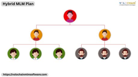 Noida, Software Development, Start Winning With Hybrid MLM Plan Through Expert Services