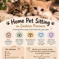 🐾 A Second Home For Your Beloved Pet In Eastern Province ❤️🏡