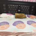 SAR 500,  I Would Like To Sell The Following Furniture, Location Olaya Riyadh