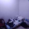 SAR 700/month,  Neat & Clean Room Available For Executive Person In Family Flat