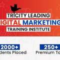 Join Digital Marketing Training In Chandigarh
