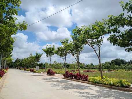 Hyderabad, Residential Plots, INR 22000,  237 Sq. Yard,  HMDA & RERA  APPROVED Open Plots For Sale @ Maheshwaram