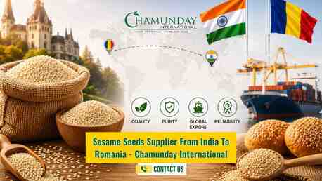 Ahmedabad, Food, Chamunday International &ndash; Sesame Seeds, Peanuts, & Agro Commodities Exporter From India