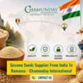 Chamunday International &ndash; Sesame Seeds, Peanuts, & Agro Commodities Exporter From India