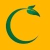 Ahmedabad, Food, Chamunday International &ndash; Sesame Seeds, Peanuts, & Agro Commodities Exporter From India
