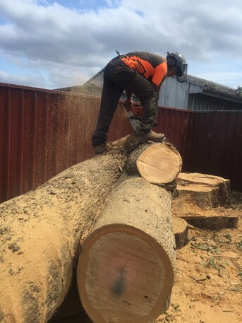 Sydney, Farm/Garden, Stump Grinding Eastwood - Arborists NSW