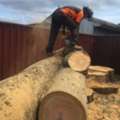 Stump Grinding Eastwood - Arborists NSW