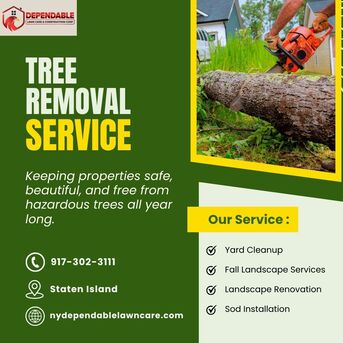 New York, Business, Tree Removal Service In Staten Island