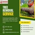 Tree Removal Service In Staten Island