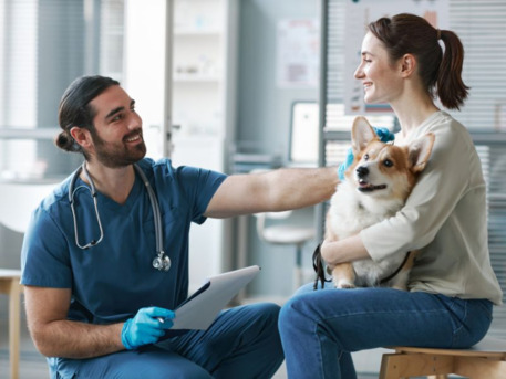 New York, Business, VetNow Animal Urgent Care