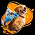Tree Pet Veterinary Clinic &ndash; Compassionate Veterinary Care You Can Trust