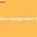 Unlock Your Potential With Expert Perdisco Assignment Help