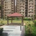 Why Is Ajnara Grand Heritage One Of The Most Preferred Rental Societies In Noida?