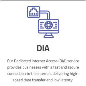 High-Speed Business Internet & Network Solutions &ndash; Fiber, Microwave, IPVPN & MikroTik Devi