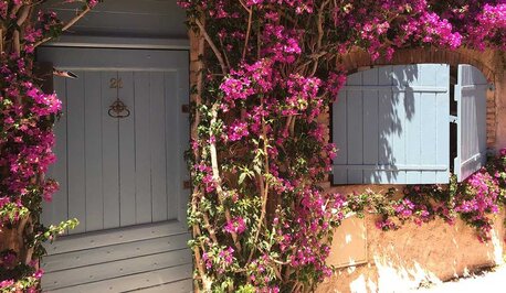 Miami, Business, Solid Wood Front Doors