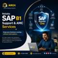 Expert SAP B1 Support And Customization Solutions