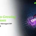 Managed ERP Cloud Hosting For Growing Businesses
