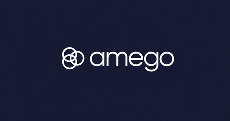 New York, Mobile Apps, Amego App