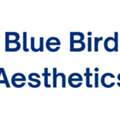 Blue Bird Aesthetics