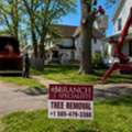 Tree Removal Buffalo NY Near Me | Branch Specialists