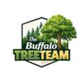 Tree Service Buffalo NY | The Buffalo TreeTeam