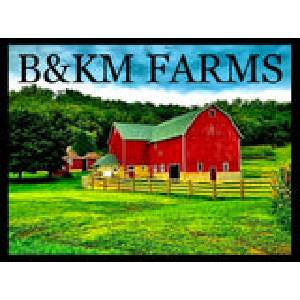 New York, Farm & Garden, USD 25,  B&KM Farms | Heirloom & Non-GMO | Vegetable & Herb Seeds | USA-Grown