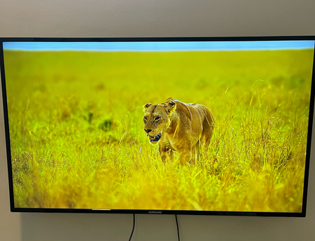 Riyadh, Electronics, SAR 600,  Eurostar 55 Inch Non-smart Tv