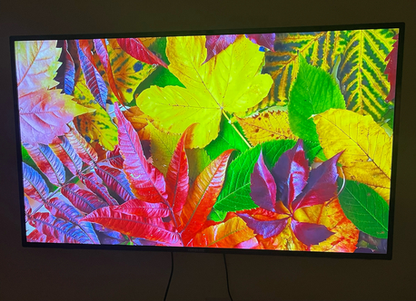 Riyadh, Electronics, SAR 600,  Eurostar 55 Inch Non-smart Tv