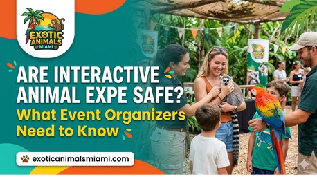 Miami, Business, Are Interactive Animal Experiences Safe? What Event Organizers Need To Know