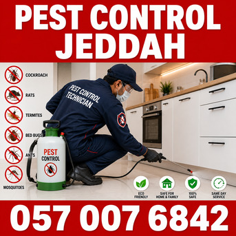 Al Hamra, Pest Control, ✅✅✅ PEST CONTROL JEDDAH – ✅ 057 007 6842 ✅✅✅