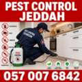 ✅✅✅ PEST CONTROL JEDDAH – ✅ 057 007 6842 ✅✅✅