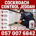 ✅✅✅ COCKROACH CONTROL JEDDAH – ✅ 057 007 6842 ✅✅✅