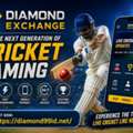 Join Diamond Exchange &ndash; Fast & Secure Cricket Gaming Experience