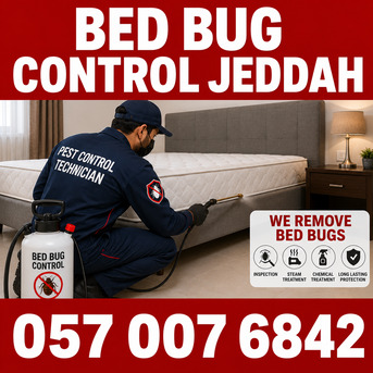 Salamah, Pest Control, ✅✅✅ BED BUG CONTROL JEDDAH – ✅ 057 007 6842 ✅✅✅