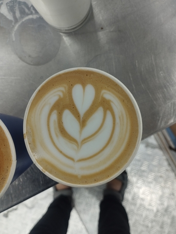 Abha, Job Seekers, Looking For A Job Barista