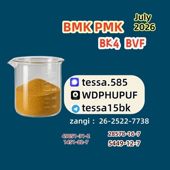 Hong Kong, Materials, CNY 50,  BMK Glycidic Acid Sodium Salt Powder CAS 5449-12-7 99% High Purity Reliable Logistics Part