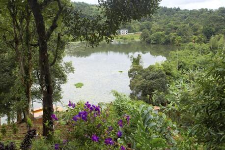 Kerala, Travel, Best Vacation Destination @Wayanad, Kerala, India Is For SALE