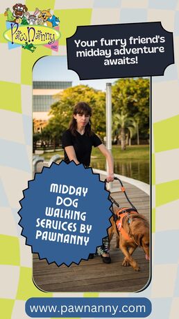 New York, Pet Sitting, Daily Dog Walks For Busy Pet Owners In Fairfax & Loudoun County