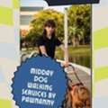 Daily Dog Walks For Busy Pet Owners In Fairfax & Loudoun County