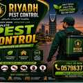 Expert Insect & Pest Control Services