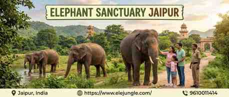 Jaipur, Travel, Discover The Magic Of An Elephant Sanctuary Jaipur
