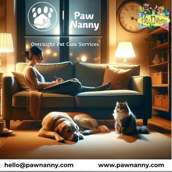 New York, Pet Sitting, Trusted Overnight Pet Sitting In Fairfax | Safe & Personalized Pet Care