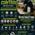 Complete Pest Removal Solutions &ndash; Jubail&rdquo;