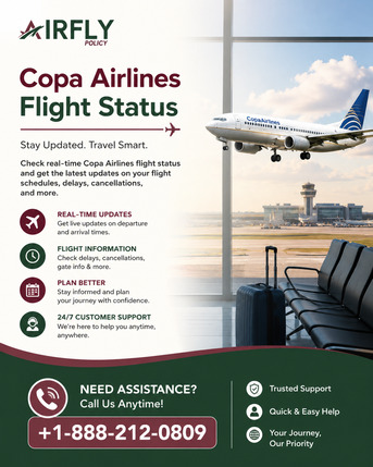 New York, Travel, Copa Airlines Flight Status &ndash; Check Live Flight Updates, Delays & Schedule