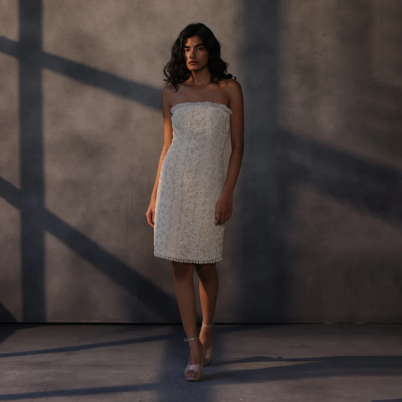 Noida, Clothing & Accessories, Designer Western Wedding Dresses & Couture Gowns By Payal Jain