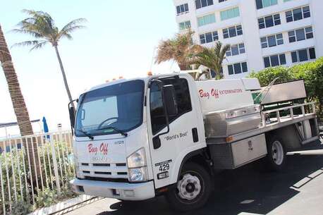 New York, Business, Protect Your Property With Pest Control Fort Lauderdale: Bug Off Exterminators