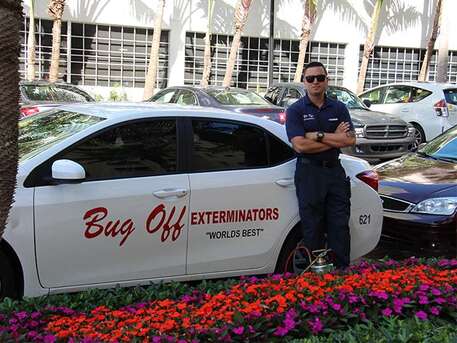 New York, Business, Protect Your Property With Pest Control Fort Lauderdale: Bug Off Exterminators